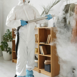 Residential Disinfecting Service with Fogger