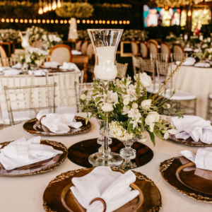 large and Commercial Event or Party Cleanup